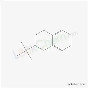 Molecular Structure of 42044-22-4 (2-(1,1-Dimethylethyl)-1,2,3,4-tetrahydronaphthalene)