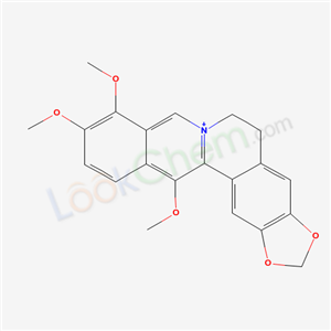 Click to see the large picture