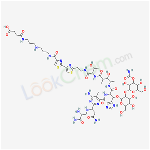 Click to see the large picture