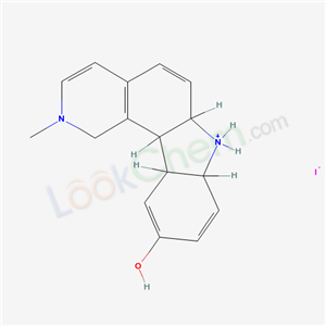 Click to see the large picture