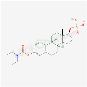 Click to see the large picture