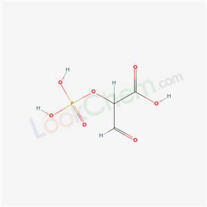 Click to see the large picture