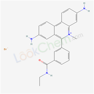 Click to see the large picture