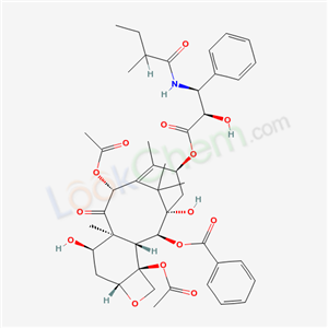 Click to see the large picture