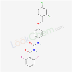 Click to see the large picture