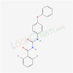 Click to see the large picture