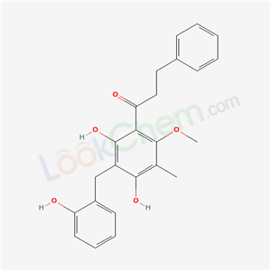 Click to see the large picture