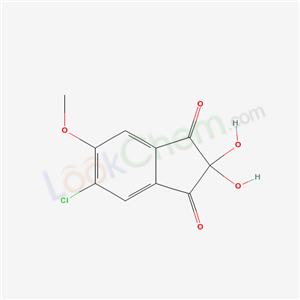 Click to see the large picture