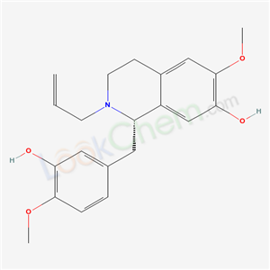 Click to see the large picture