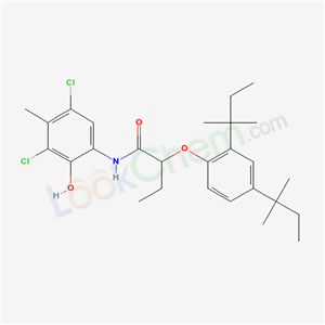 Click to see the large picture