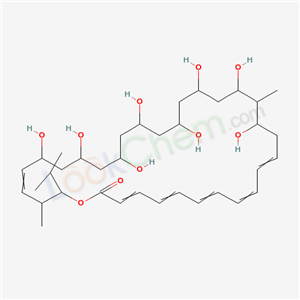 Click to see the large picture