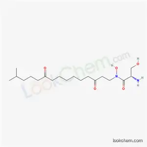 네오 에나 틴 M1