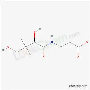 판 토테 네이트