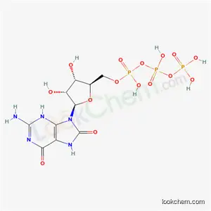 8- 하이드 록시 구아노 신 트리 포스페이트