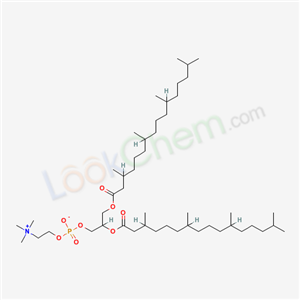 Click to see the large picture