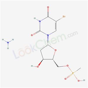 Click to see the large picture