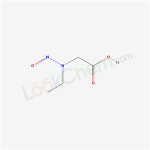 2-(ethyl-nitroso-amino)acetic acid