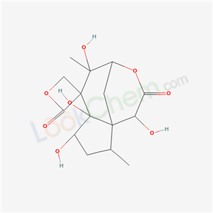 Click to see the large picture