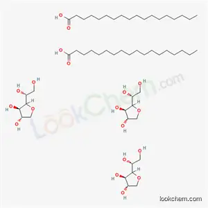 소르 비탄, 옥타 데 카노 에이트 (2 : 3)