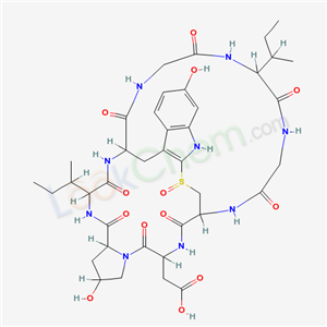 Click to see the large picture