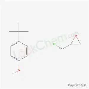 P-TERT-부틸페놀-에피클로로히드린 중합체)
