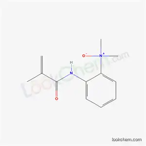 폴리-N,N-디메틸아미노페닐렌 메타크릴아미드 N-옥사이드