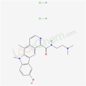 Click to see the large picture