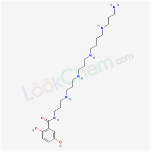 Click to see the large picture