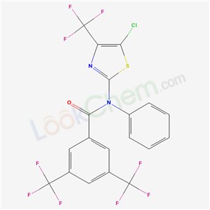 Click to see the large picture