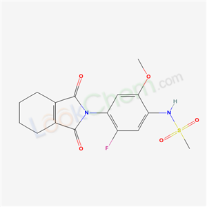 Click to see the large picture