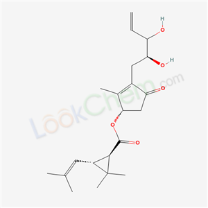 Click to see the large picture