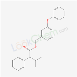 Click to see the large picture