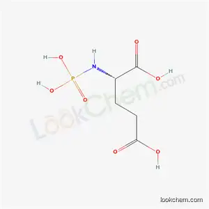 Molecular Structure of 59360-03-1 (N-phosphono-L-glutamic acid)