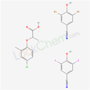 Click to see the large picture