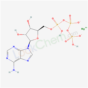Adenosine 5'-(tetrahydrogen triphosphate) magnesium salt