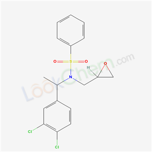 Click to see the large picture