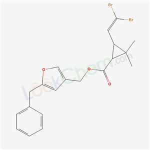 Click to see the large picture