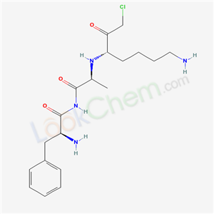 Click to see the large picture