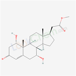 Click to see the large picture