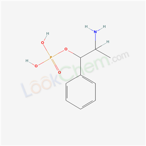 Click to see the large picture