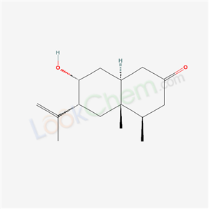 Click to see the large picture