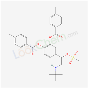 Click to see the large picture