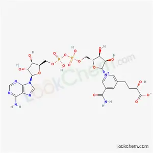 5-(3-카르복시-3-히드록시프로필)니코틴아미드 아데닌 디뉴클레오티드