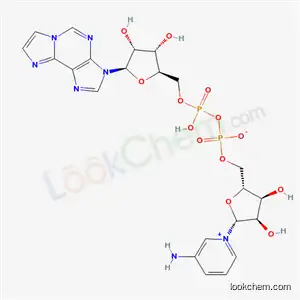 3-아미노피리딘 1,N(6)-에테노아데닌 디뉴클레오티드