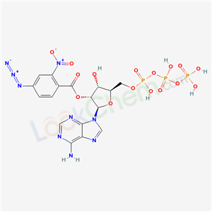 Click to see the large picture