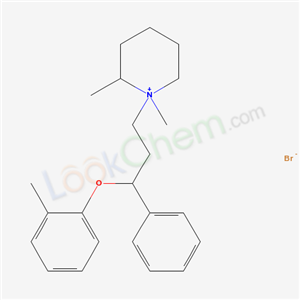 Click to see the large picture