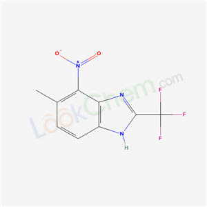 Click to see the large picture