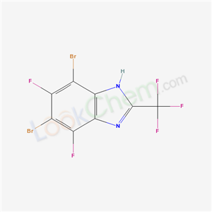 Click to see the large picture