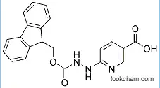 6-FMOC-하이드라지노니코틴산