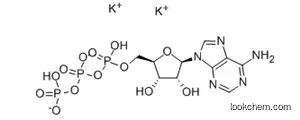 아데노신 5'-트리포스페이트 칼륨 염